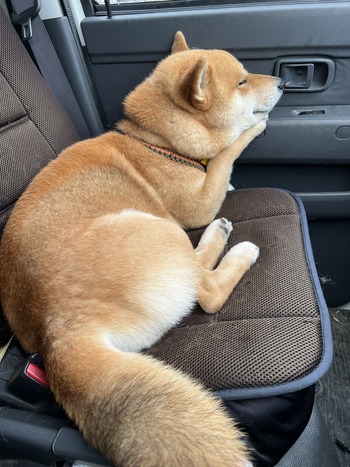 no title
