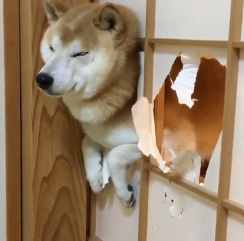 no title