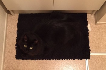 525540fb637dccdd7c1d202d9e26e93a