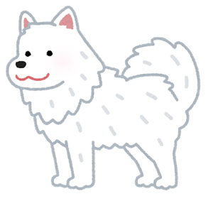 dog_samoyed