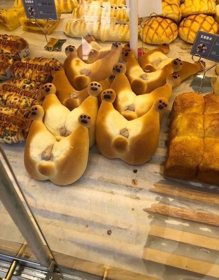 画像 パン屋さん 犬の形のパンありまーす 奥様 まぁ どんなのかしら もっふるちゃんねる