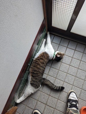 no title
