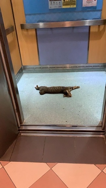 no title