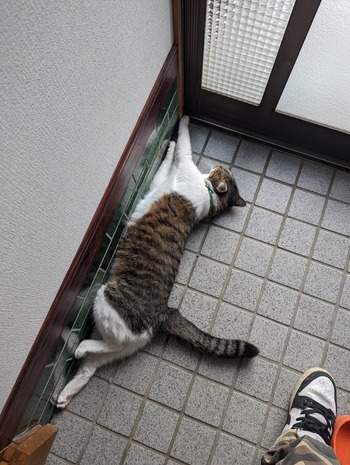 no title