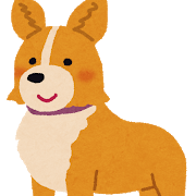 dog_corgi