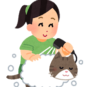 wash_pet_cat