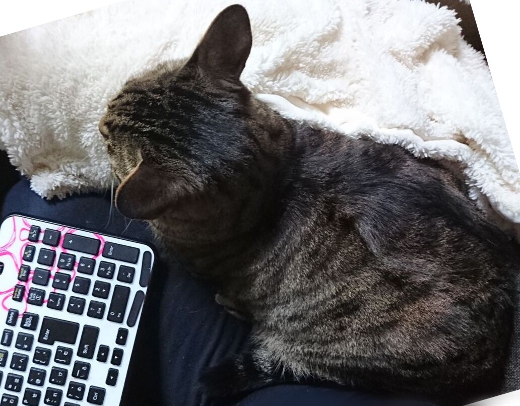 猫 悪気は無かった 今も反省していない メンコスケダモノ 猫3匹とゲーマーのもふもふ生活漫画絵日記 Powered By ライブドアブログ 猫 悪気は無かった 今も反省していない メンコスケダモノ 猫3匹とゲーマーのもふもふ生活漫画絵日記 Powered By ライブドアブログ