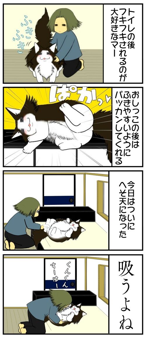 20250418 j22f19g50n37