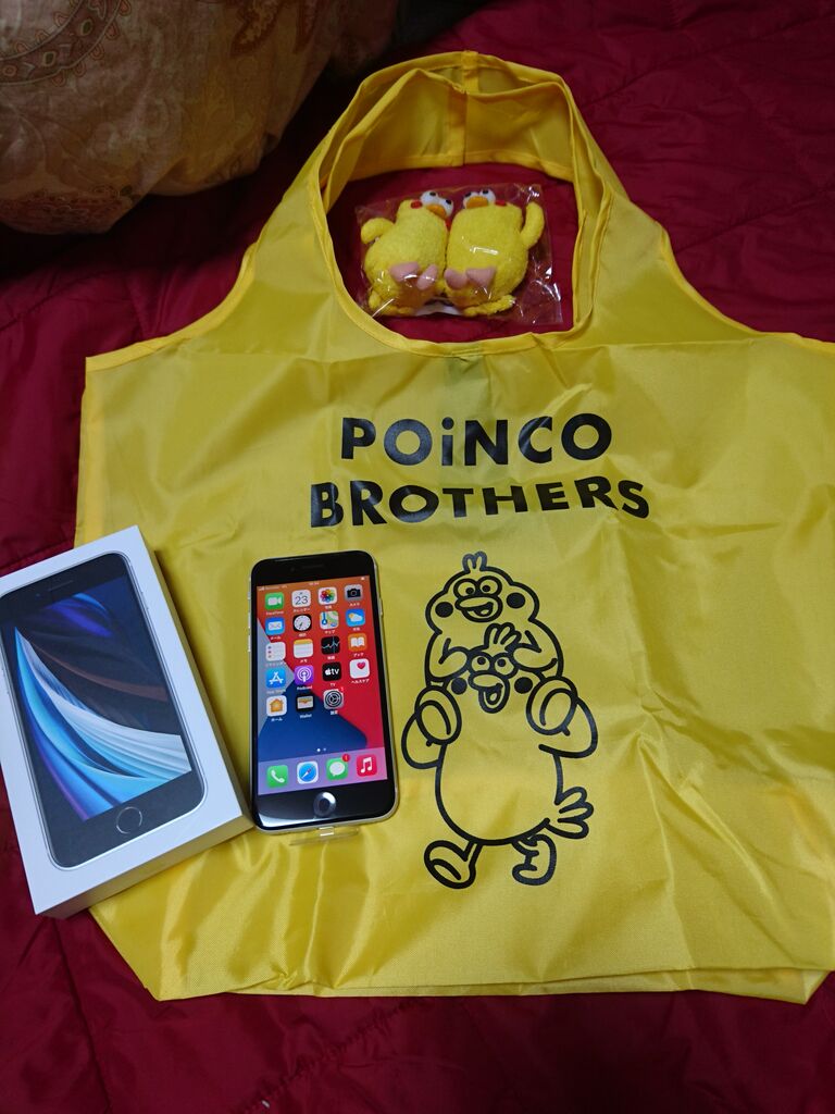 Iphone嫌いの私が 無料でiphoneを手に入れるまで ６ 契約者名義が違うと言われ続けた謎 解明 メンコスケダモノ 猫3匹とゲーマーのもふもふ生活漫画絵日記 Powered By ライブドアブログ