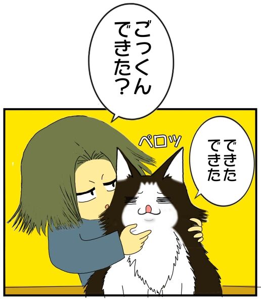 30y33-10c54o21x15v15f1