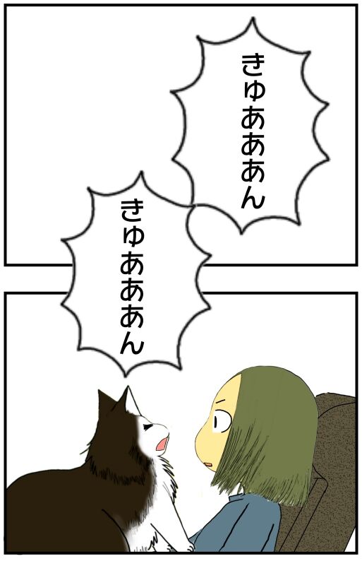 30y33-10c54o21ｘ15v15e11