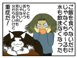 30y33-10c54o21ｘ15o44k