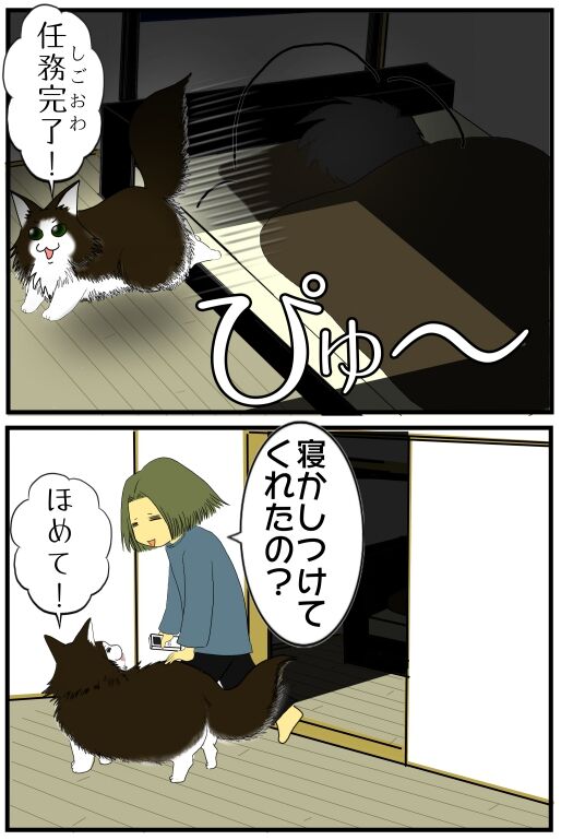 30y33-10c54o21ｘ15v159b