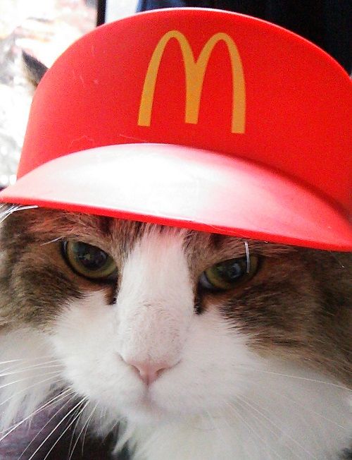 マクドナルド】念願のマッククルーバイザーとモンスターボール