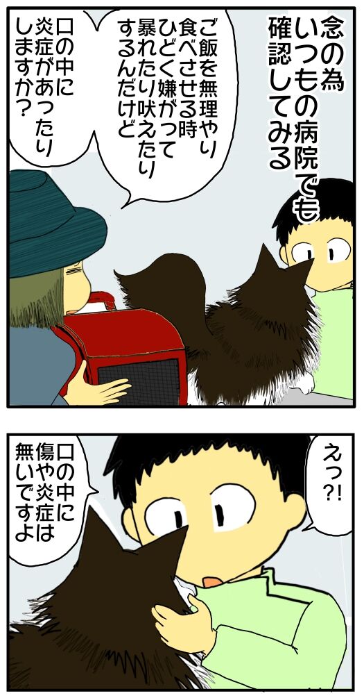 30y33-10c54o21x15o44o15n