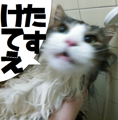 ふろ8