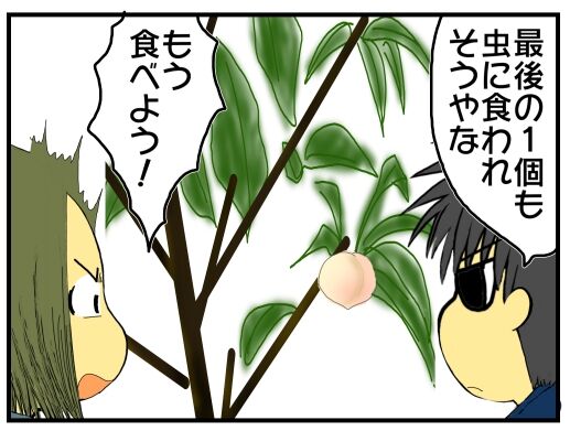 30y33-10c54o21x15o34c