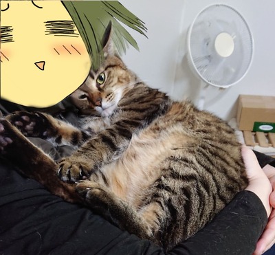 だっこ～