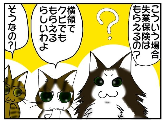 30y33-10c54o21ｘ13v4