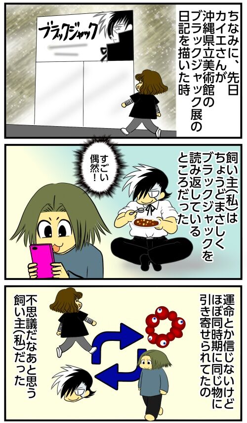 20250418 j22f19g50o38c
