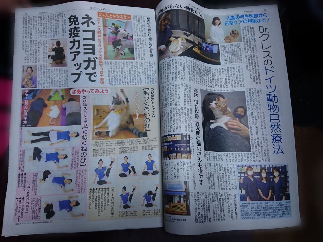 日刊ニャンダイ】決定的瞬間!激写スクープ【猫新聞を読む猫】 : メン