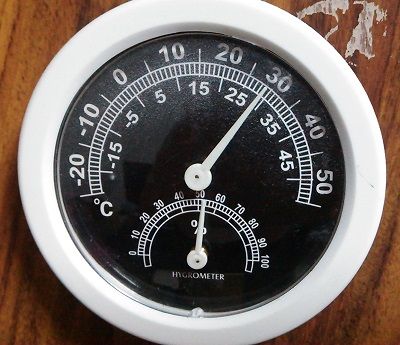 今年も夏がやってきた (2)