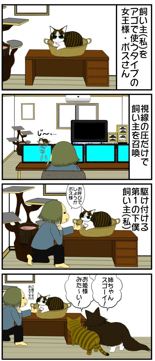 20250418 j22f19g44a