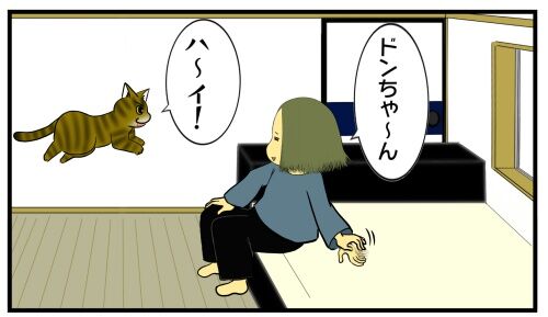 20250418 j22f19g50n50