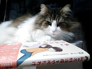 こうめさんの本