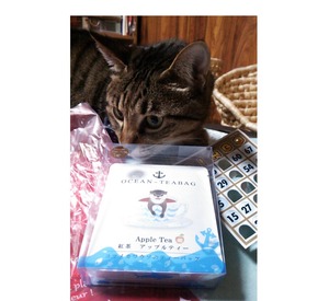 2019ライブドア大忘年会 yukoさんのアップルティー