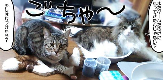 20180630 (1)