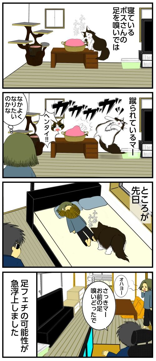 20250418 j22f19g50o41a