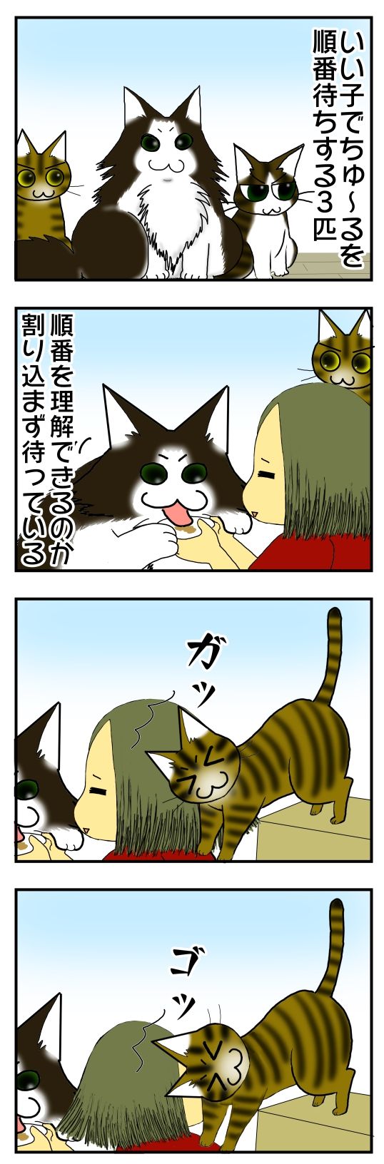 30y33-10c54o21ｘ13w8