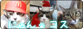 にゃんコス