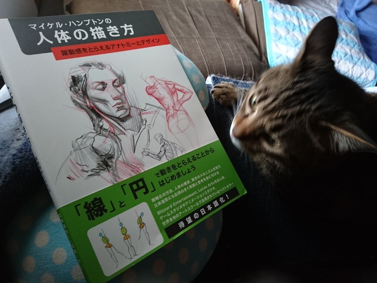 百均 素材で盆提灯 Lineマンガインディーズ マンガ家応援プロジェクト 3 メンコスケダモノ 猫3匹とゲーマーのもふもふ生活漫画絵日記 Powered By ライブドアブログ