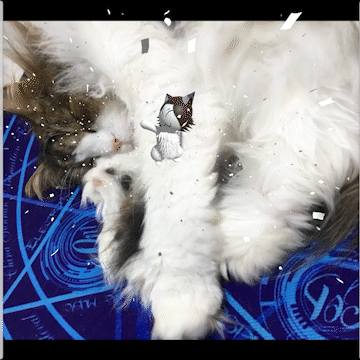 うちの猫を３ｄアバター化してみた Blender Vrm Paint3d メンコスケダモノ 猫3匹とゲーマーのもふもふ生活漫画絵日記 Powered By ライブドアブログ