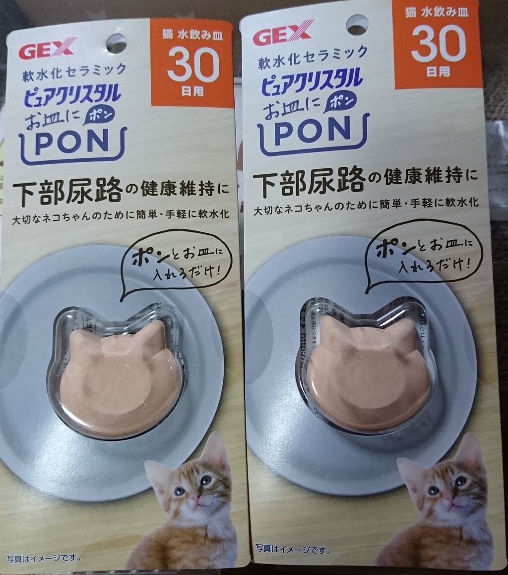 Gex ピュアクリスタルお皿にpon 使ってみた 下部尿路の健康 軟水化セラミック メンコスケダモノ 猫3匹とゲーマーのもふもふ生活漫画絵日記 Powered By ライブドアブログ