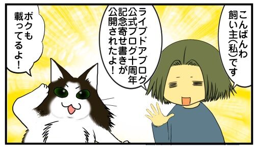 20250418 j22f19g50o66b