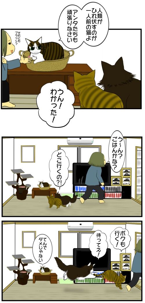 20250418 j22f19g44b