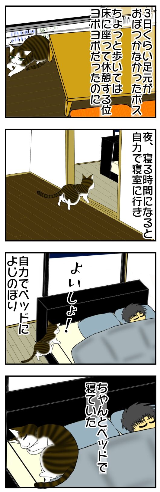 年08月04日 メンコスケダモノ 猫3匹とゲーマーのもふもふ生活漫画絵日記 Powered By ライブドアブログ