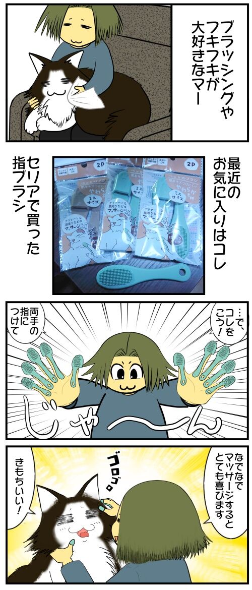 20250418 j22f19g50o28