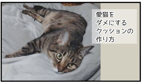 20250418 j22f19g50o63d