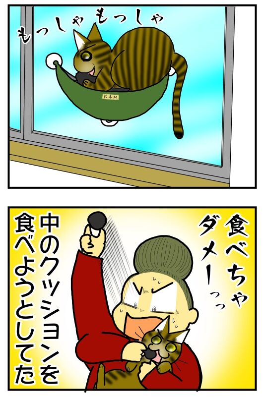 クッションも食べる