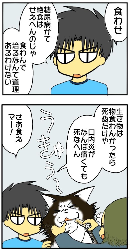 30y33-10c54o21x15o44o15m
