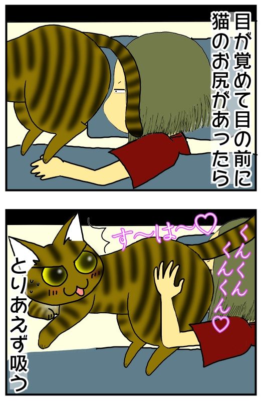 目が覚めて目の前に猫のお尻があったら 下僕ver メンコスケダモノ 猫3匹とゲーマーのもふもふ生活漫画絵日記 Powered By ライブドアブログ