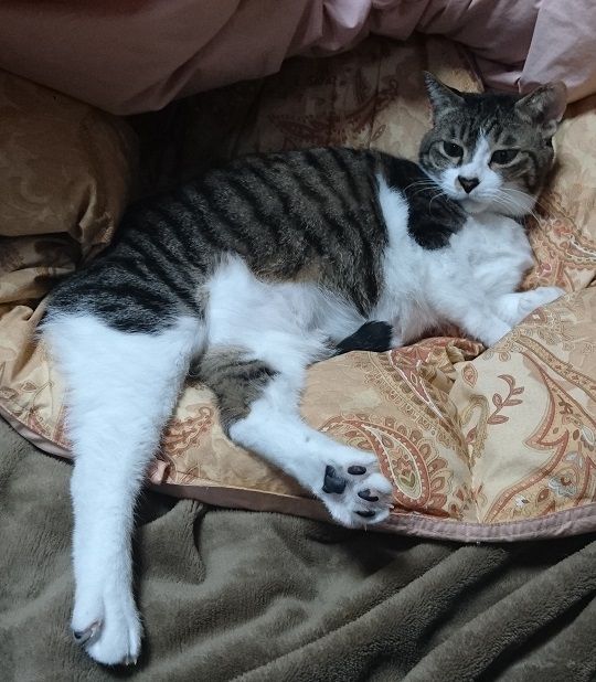 私知ってるんだから