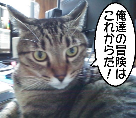 俺達の冒険は これからだ メンコスケダモノ 猫3匹とゲーマーのもふもふ生活漫画絵日記 Powered By ライブドアブログ