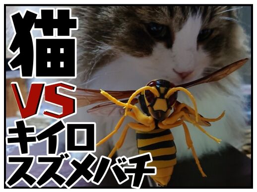 猫vsスズメバチ バンダイ発 リアルすぎるガチャガチャのスズメバチフィギアに興味津々な我が家のノルウェージャンフォレストキャット メンコスケダモノ 猫3匹とゲーマーのもふもふ生活漫画絵日記 Powered By ライブドアブログ 猫vsスズメバチ バンダイ発 リアルすぎるガチャガチャのスズメバチフィギアに興味津々な我が家のノルウェージャンフォレストキャット メンコスケダモノ 猫3匹とゲーマーのもふもふ生活漫画絵日記 Powered By ライブドアブログ