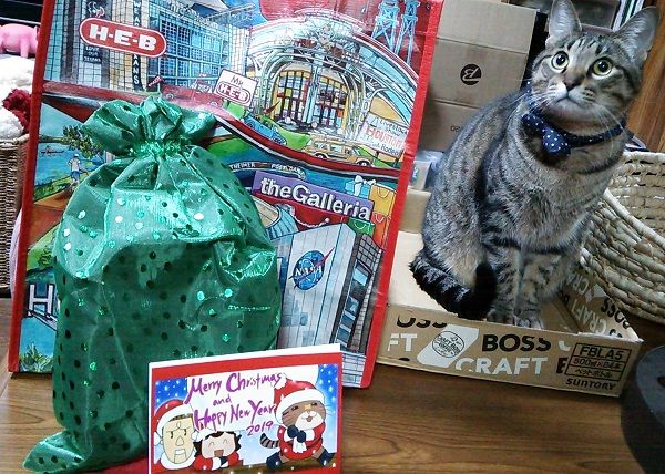 カイエさんから クリスマス (54)