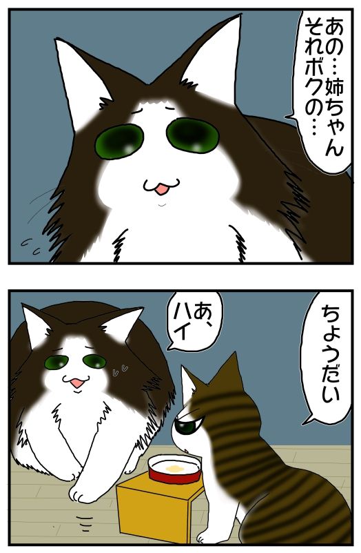 カツアゲ猫 ボスvsマー 優しすぎてケンカ出来ない 我が家のノルウェージャンフォレストキャット メンコスケダモノ 猫3匹とゲーマーのもふもふ生活漫画絵日記 Powered By ライブドアブログ